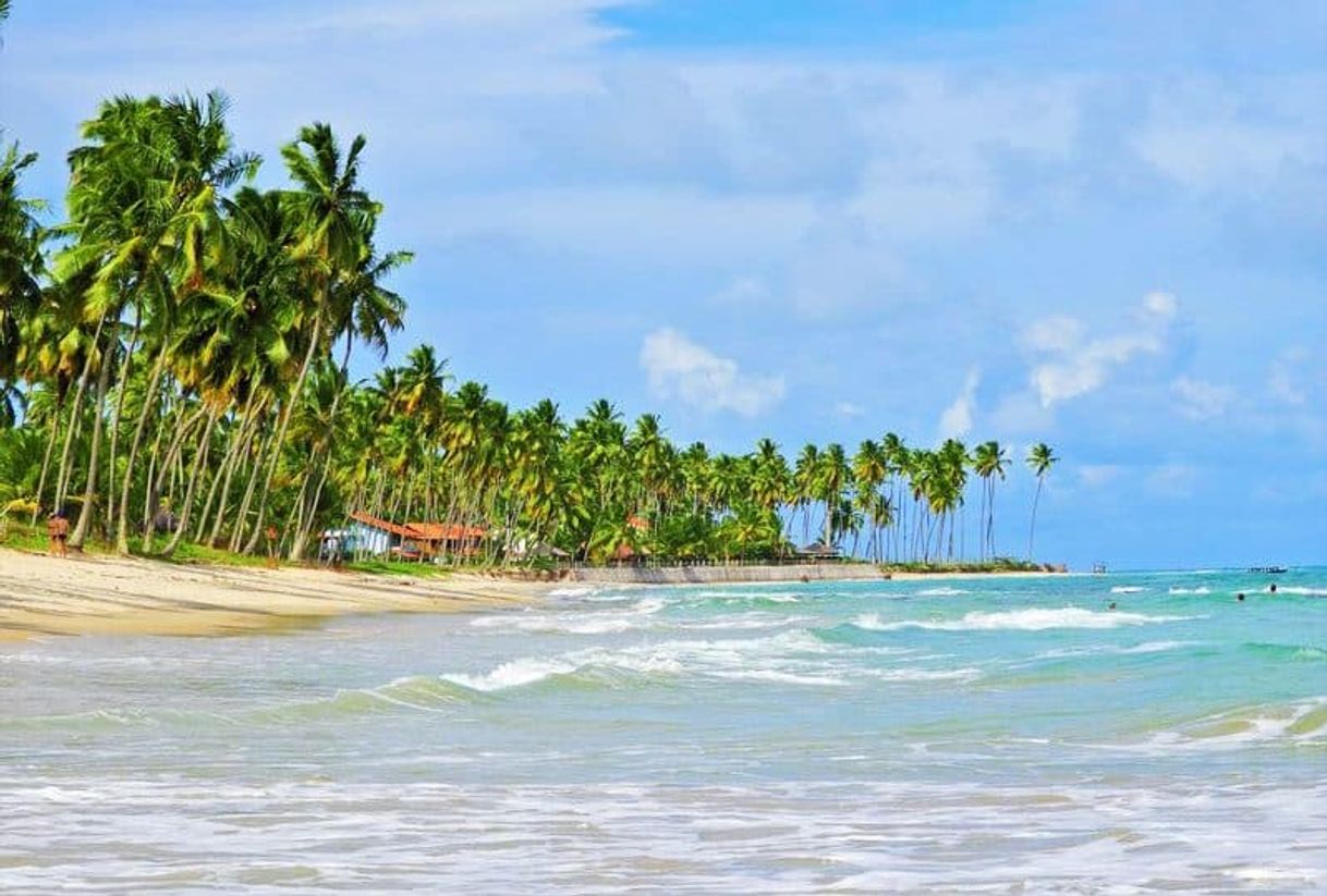 Fashion Praia de Tamandaré, Pernambuco - Brasil 