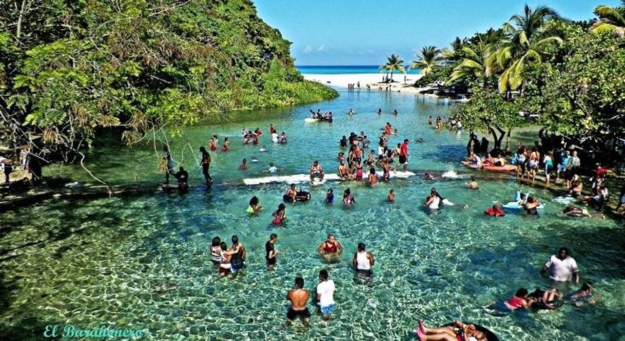 Place Los Patos