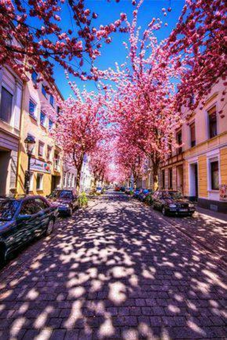 Fashion Rua das flores