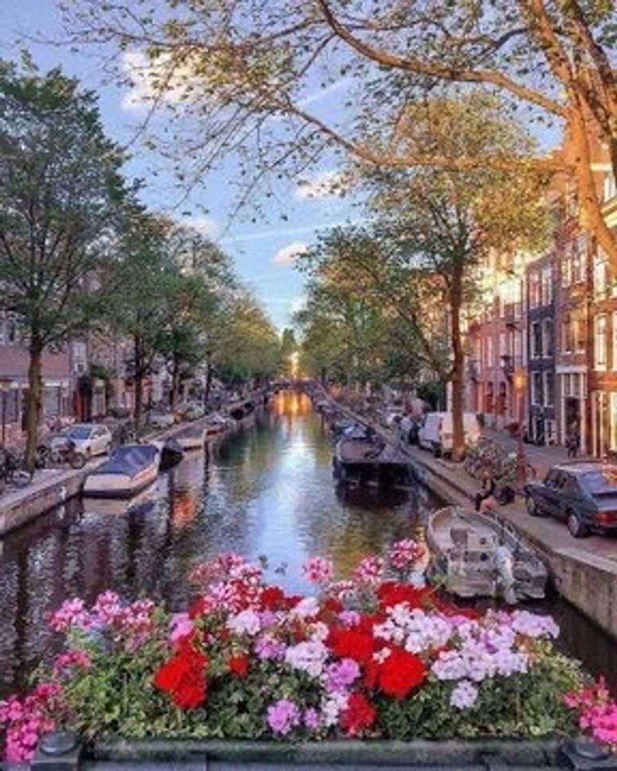 Lugar Amsterdã 