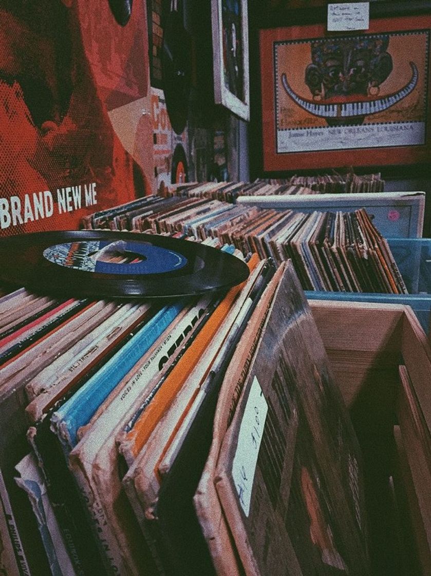 Social Wallpaper cds e vinil 