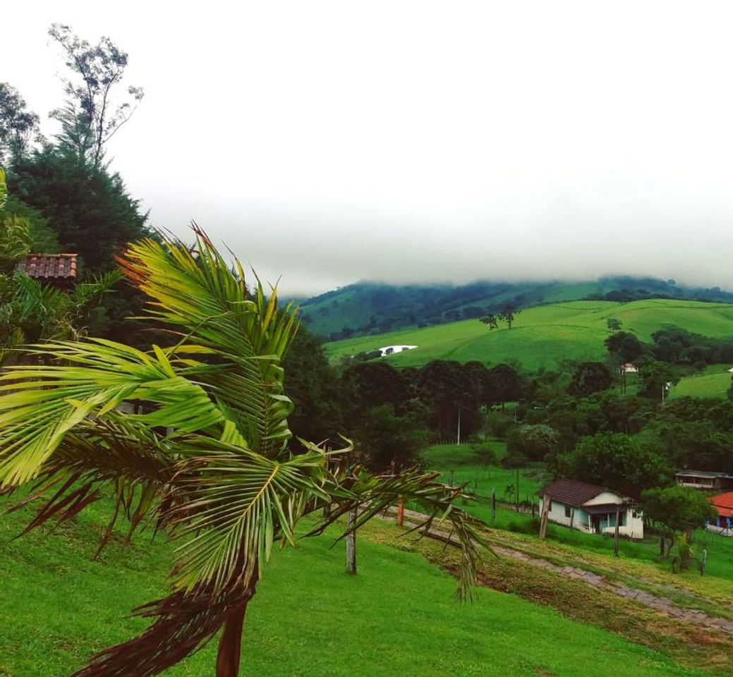 Moda Gonçalves MG