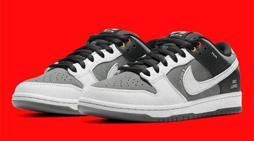 Dunk Low Camcorder 