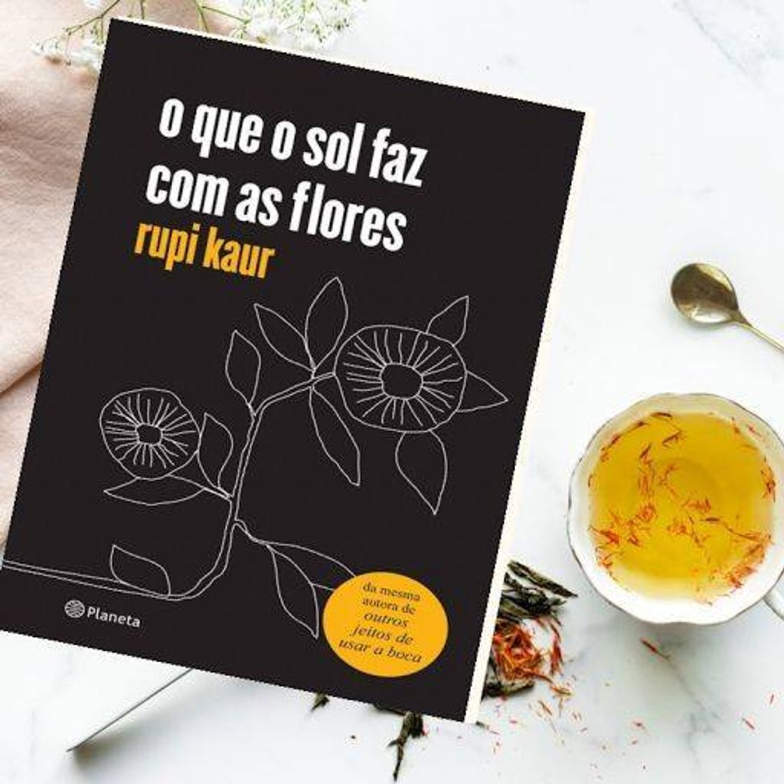 Fashion o que o sol faz com as flores - Livros na Amazon Brasil ...