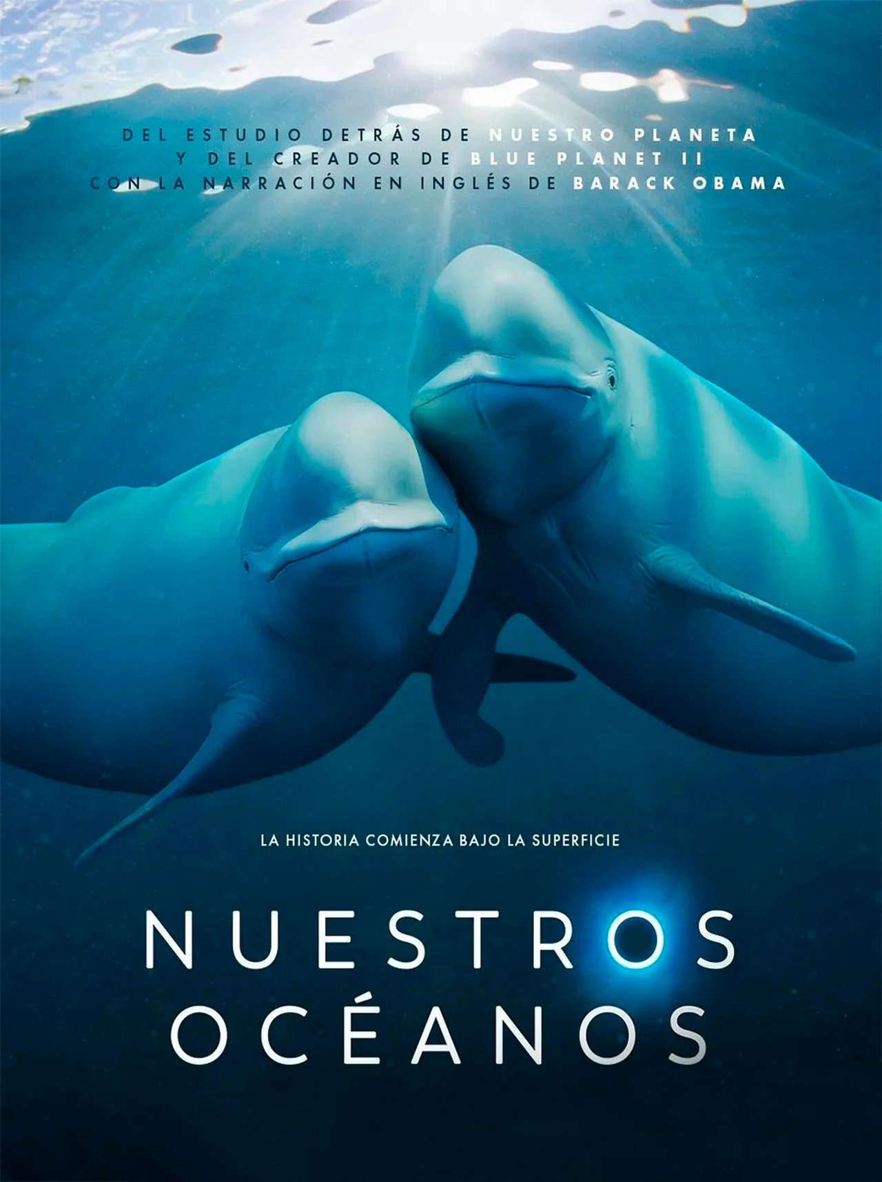 Serie Nuestros océanos