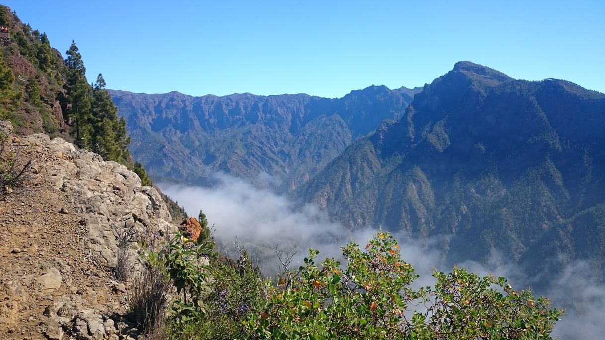 Lugar La Palma