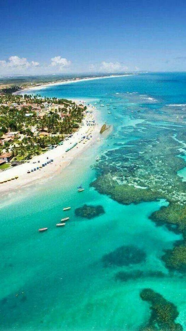 Places Porto de galinhas