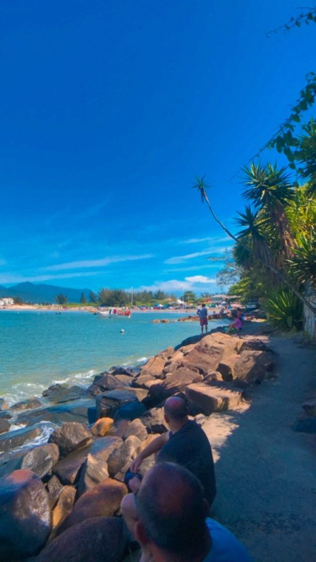 Lugares Praia da Ponta do Papagaio 