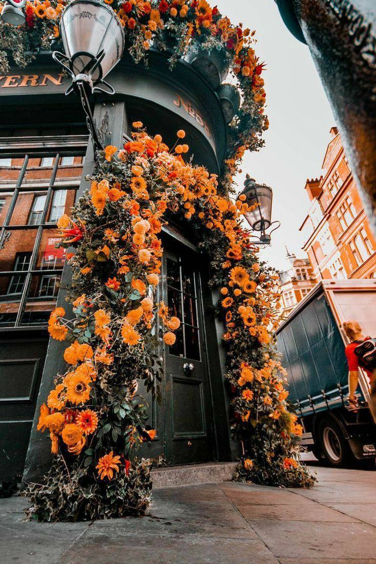 Social 🌼🌼🌼🌼