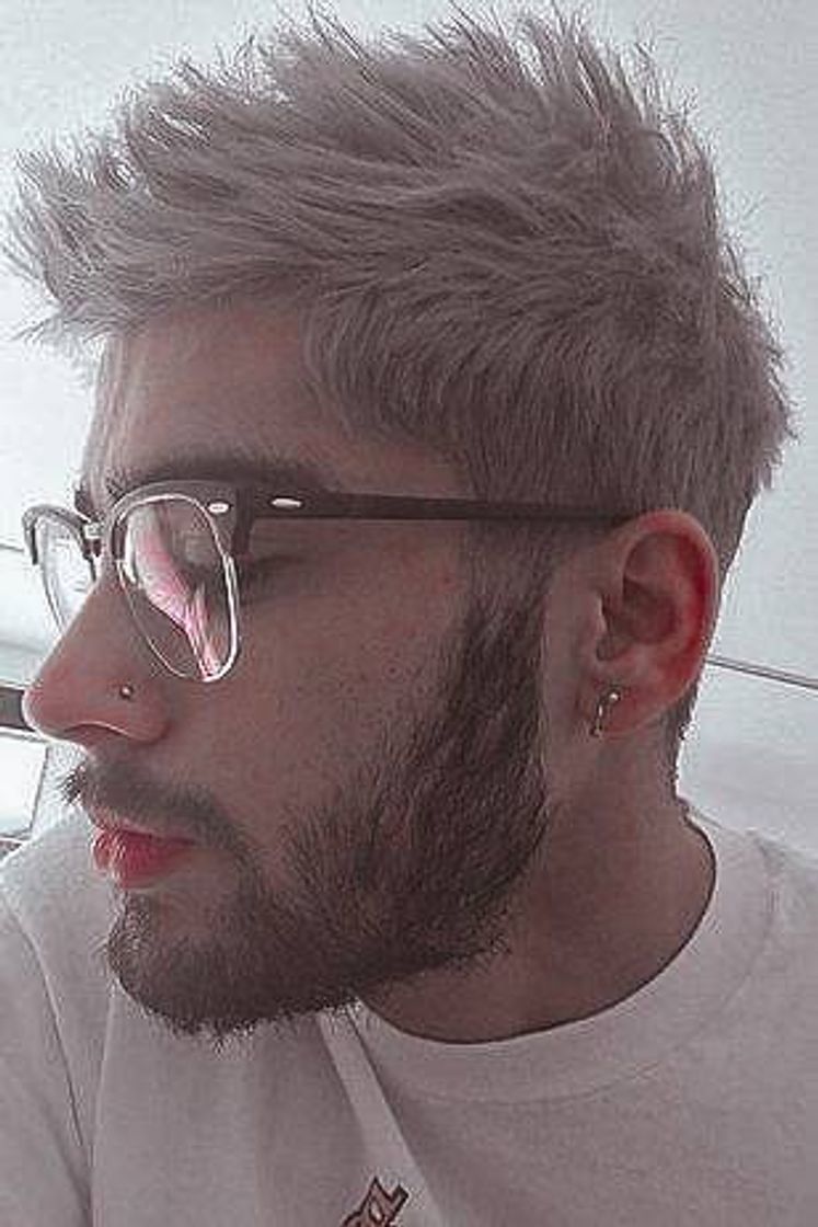 Moda ZAYN 