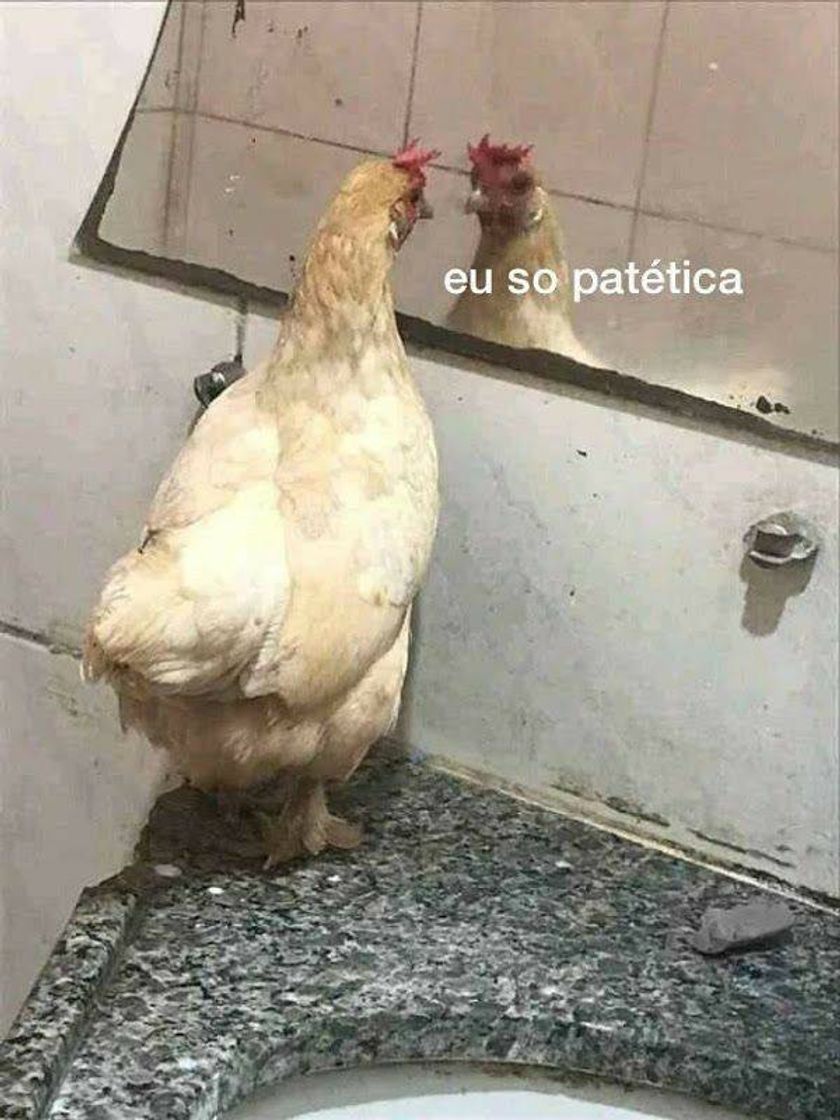 Social Figurinhas 