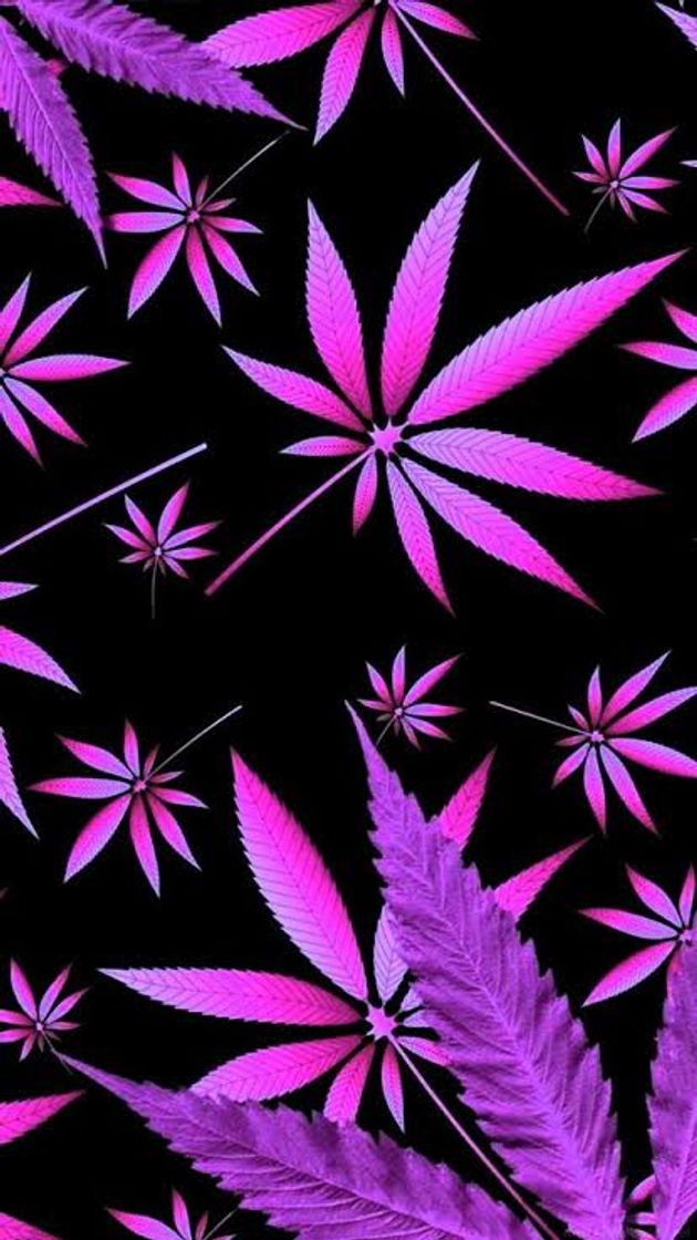 Fashion Wallpapers: Maconha