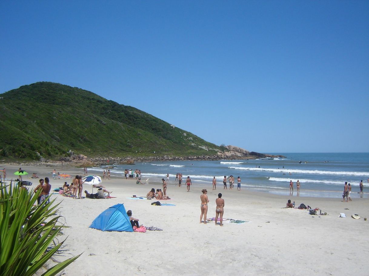 Lugar Praia do Rosa