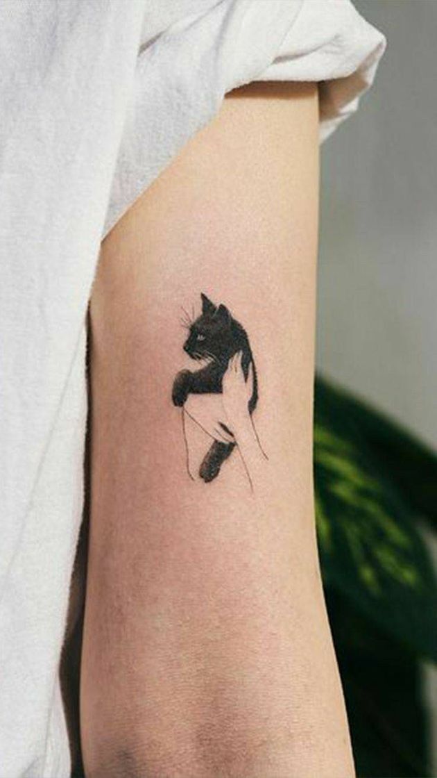 Moda Tatto de gato