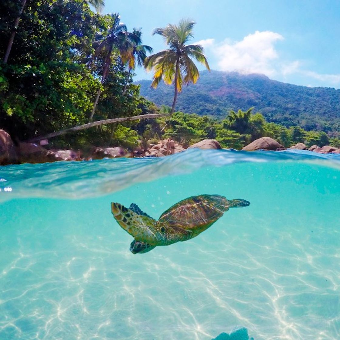 Place Ilha Grande