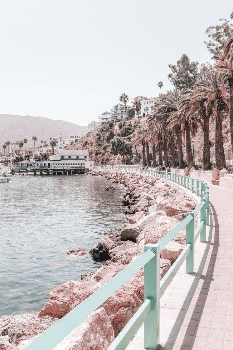 Social Você pode ficar parado imaginando como seria, ou lutar e ver