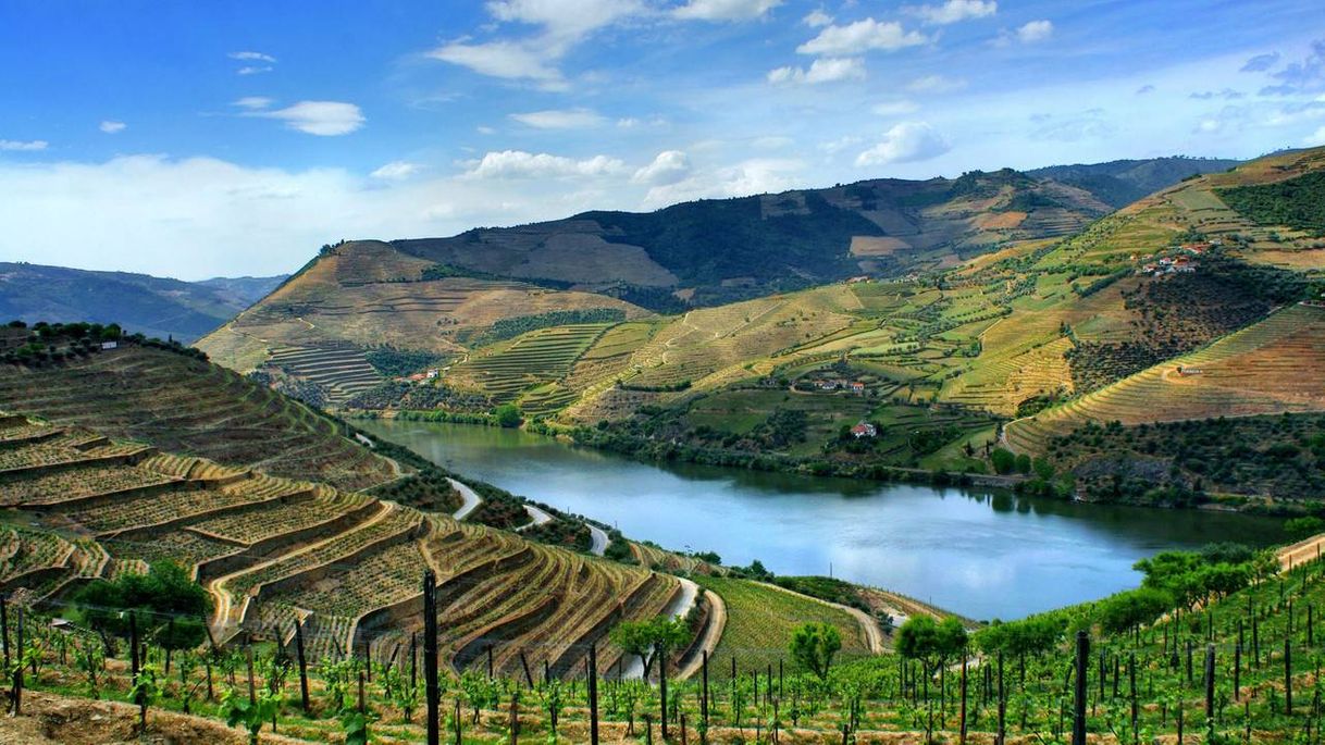 Place Douro