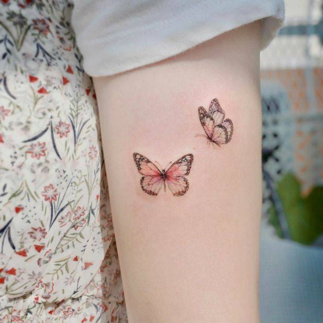 Social 🦋🦋