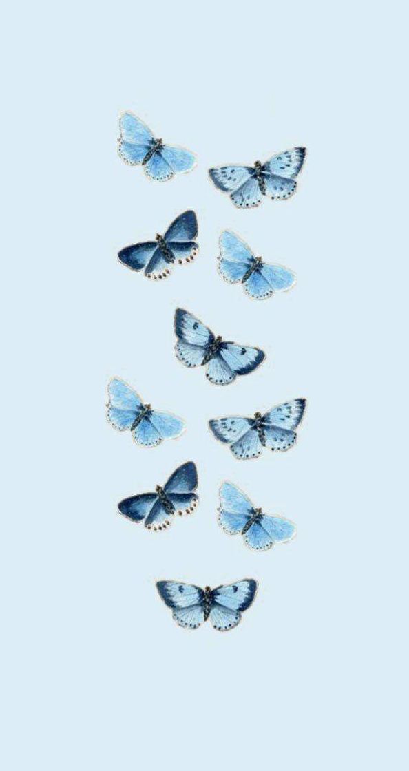 Moda Wallpaper butterfly