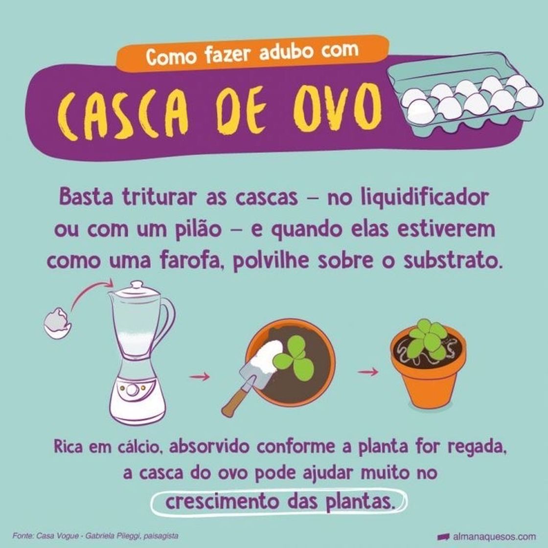 Moda Como fazer adubo com casca de ovo 