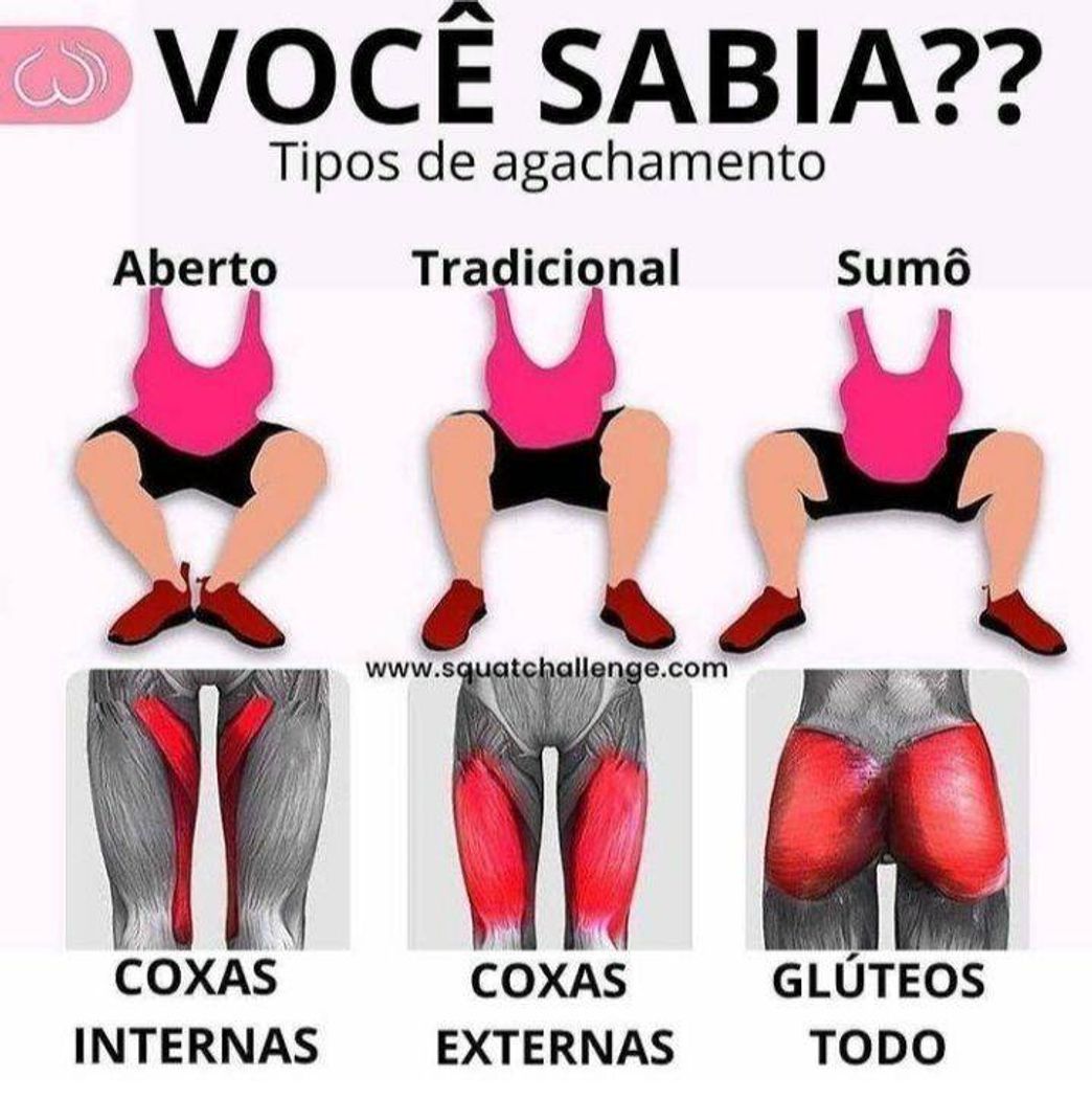 Fashion Tipos de agachamento