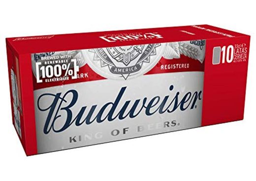 Budweiser Cerveza - 10x0