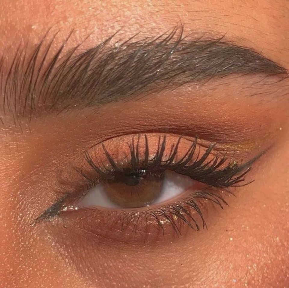 Fox eye 