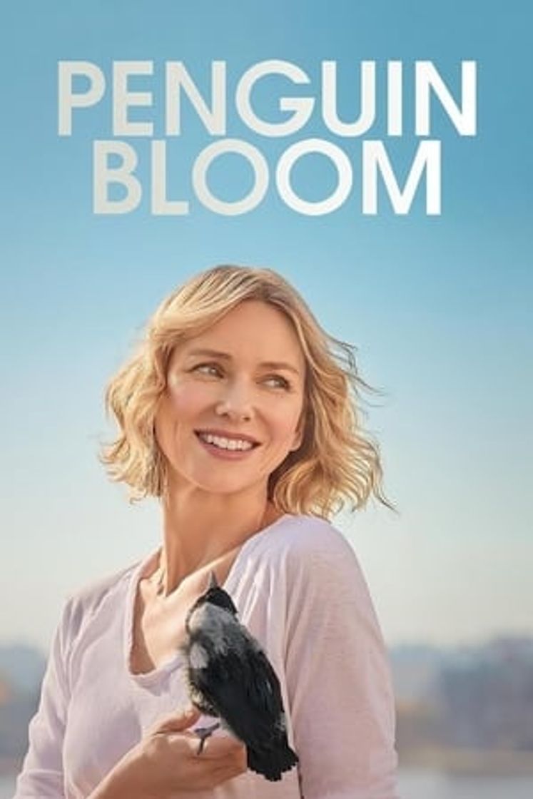 Movie La familia Bloom