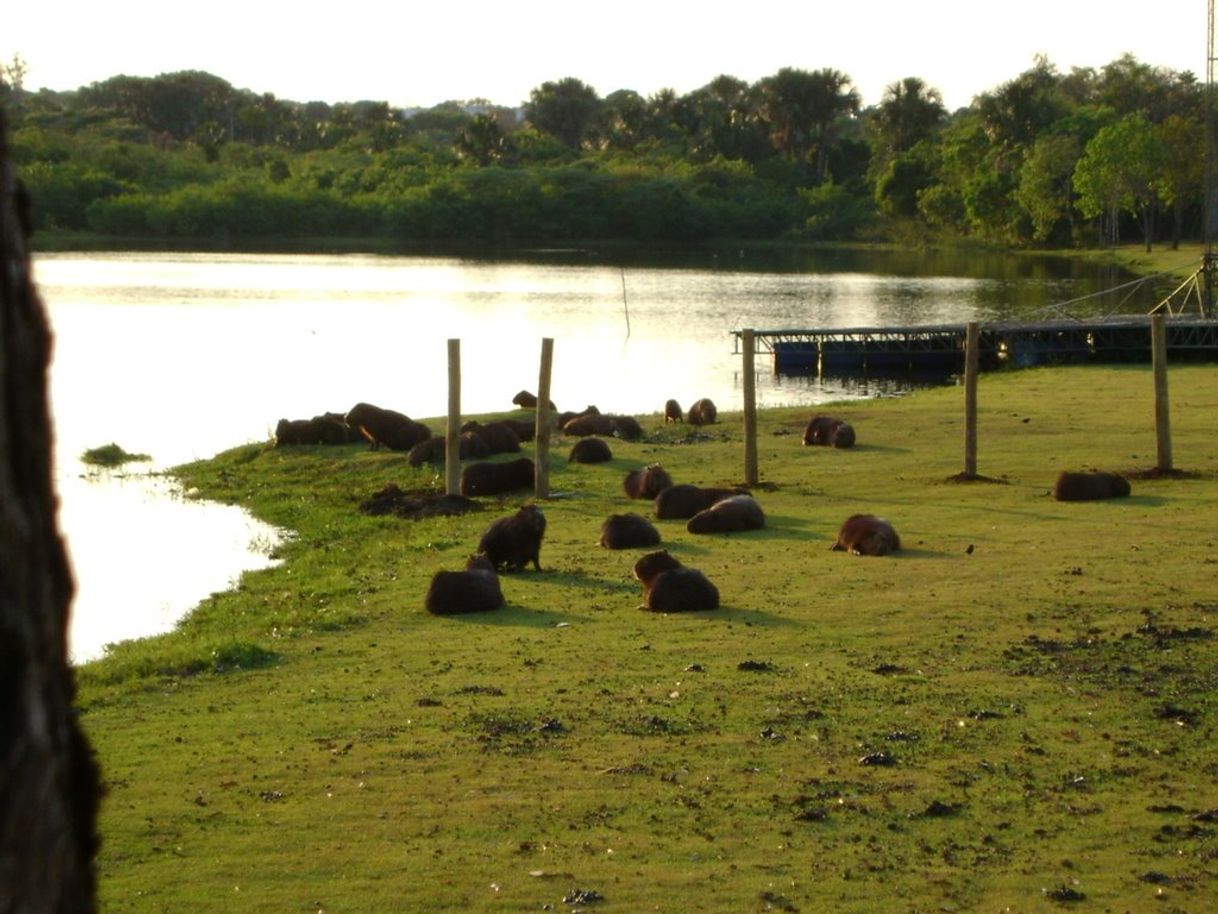 Place Lago do Amor