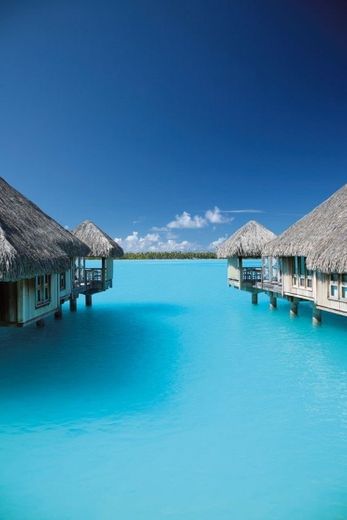 Maldivas ✈️