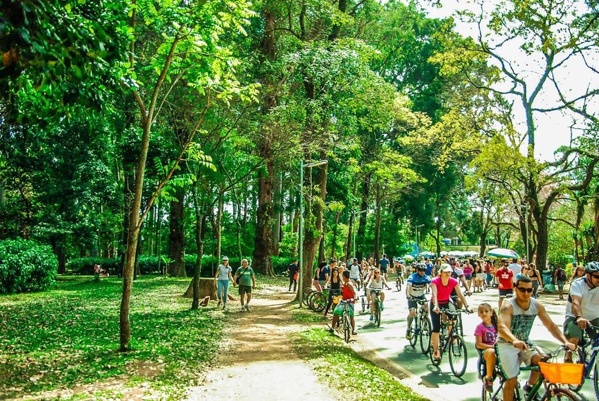 Lugar Parque Ibirapuera