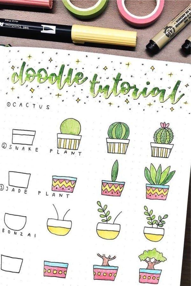 Fashion Plantinhas 🌵