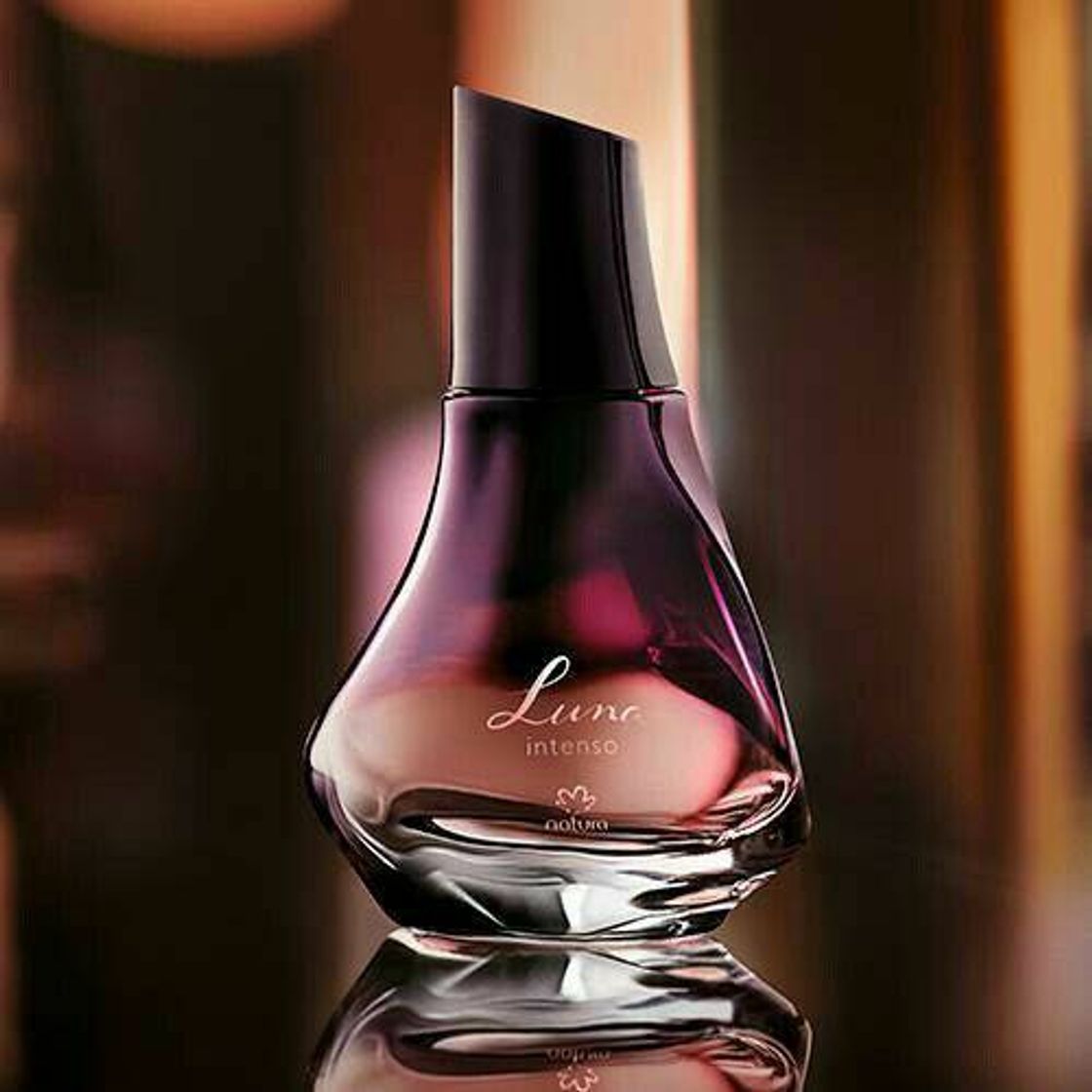 Fashion Perfumes 