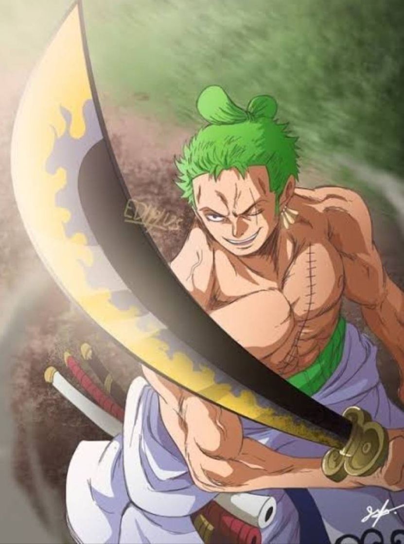 Moda Zoro