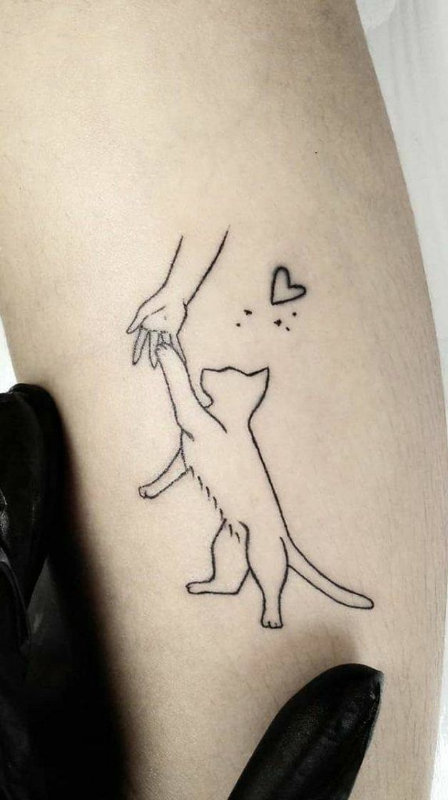 Fashion Tatuagem de gato