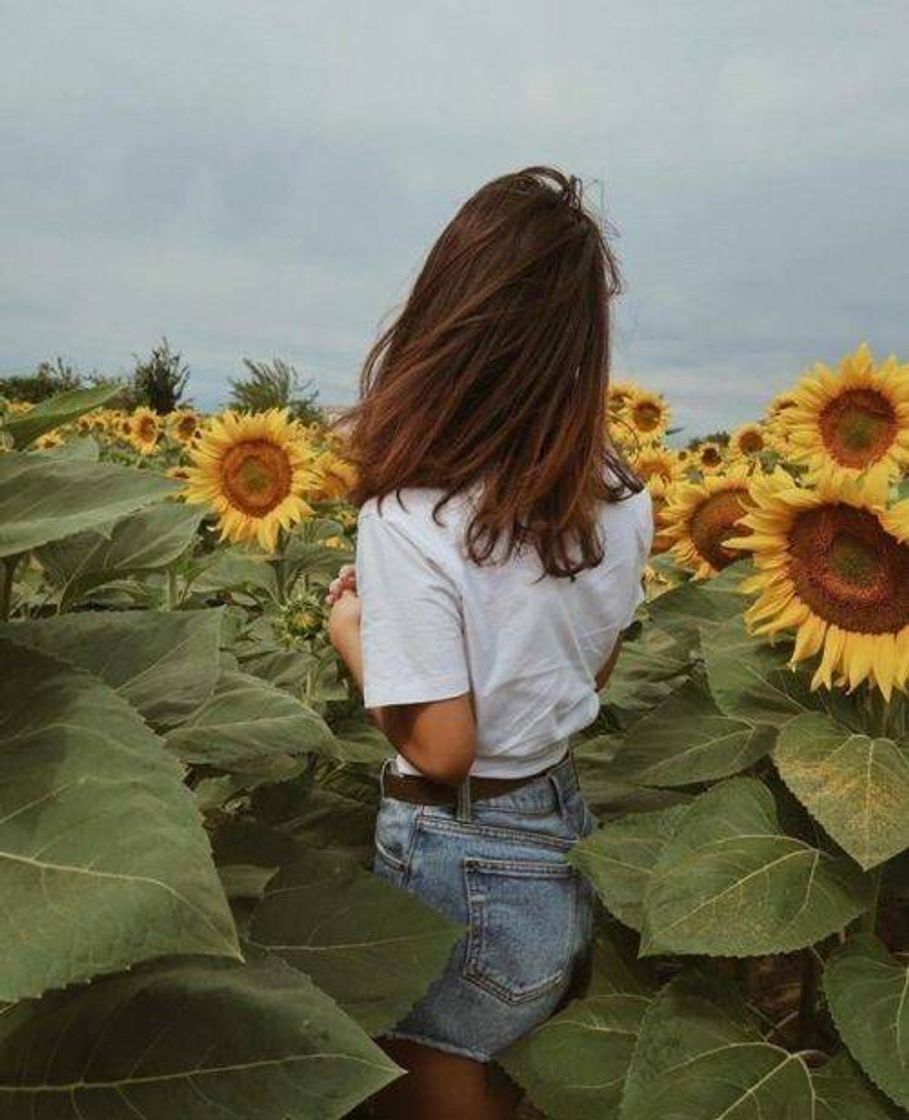 Music Música: girl like me