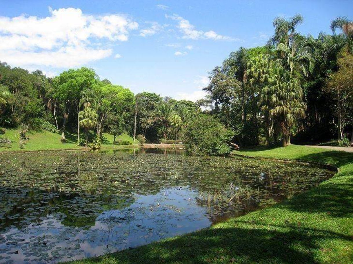 Lugar Jardim Botânico