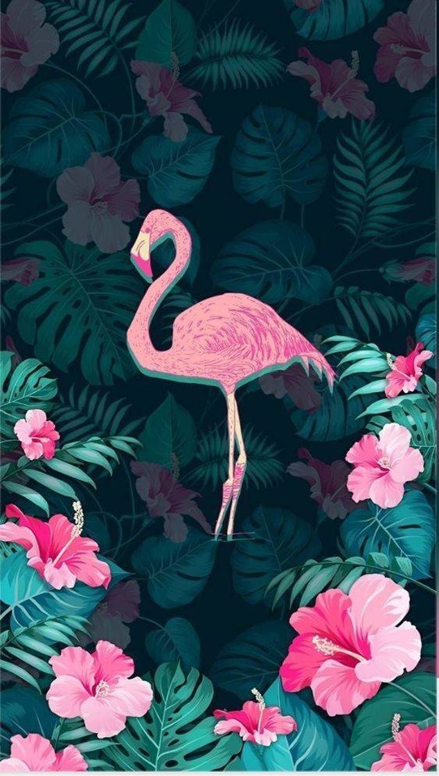 Social https://pin.it/3YMF5T9