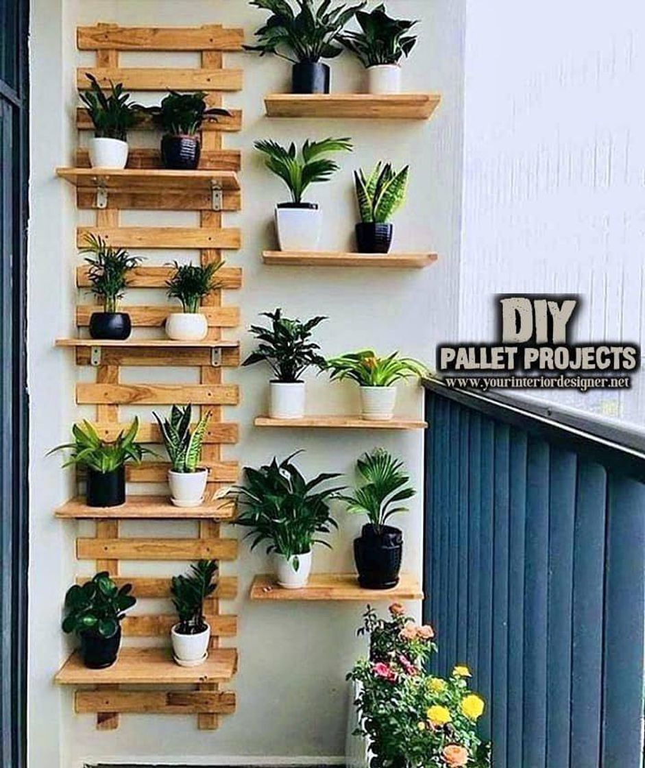 Moda Ideias De Suportes Para Plantas