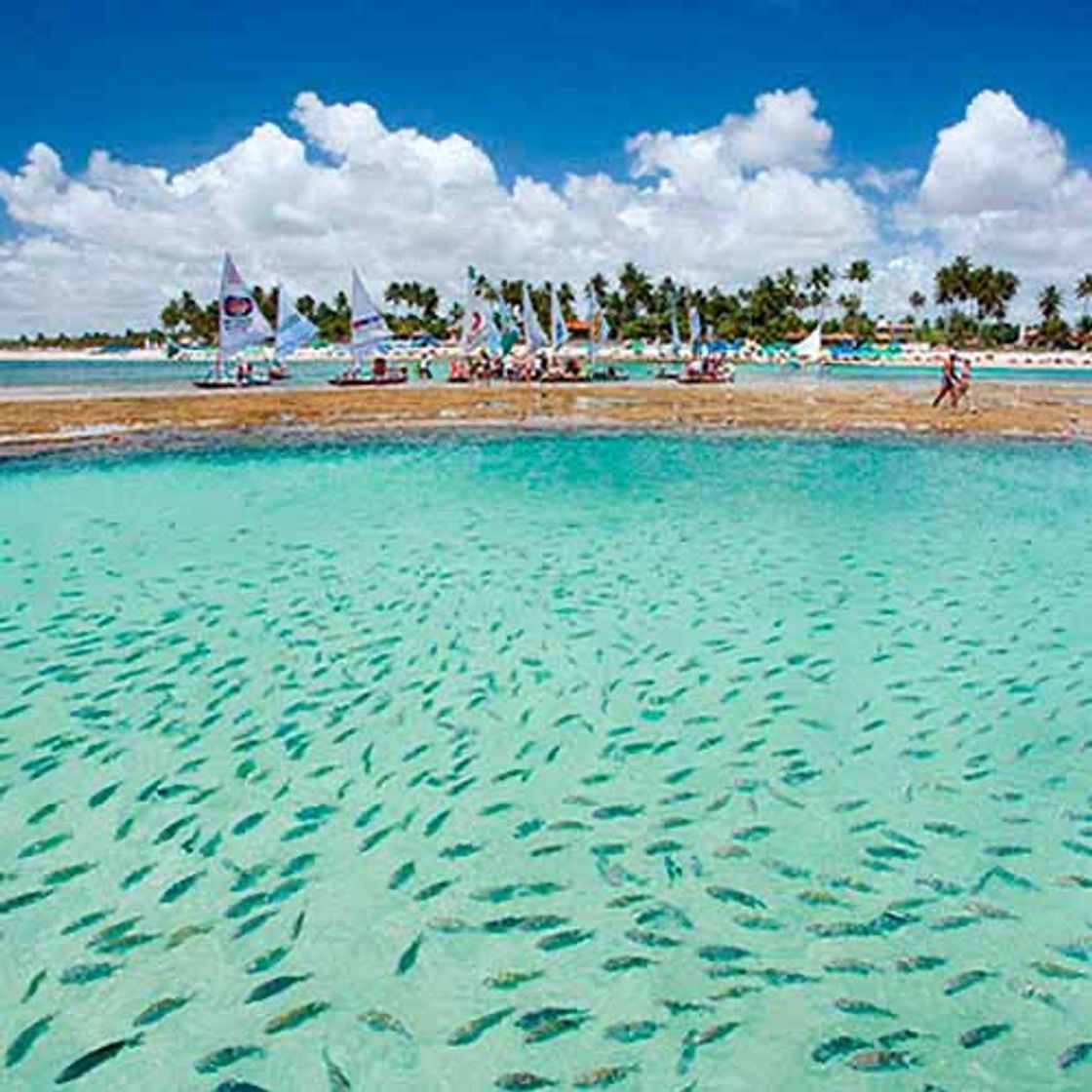 Lugar Porto de Galinhas