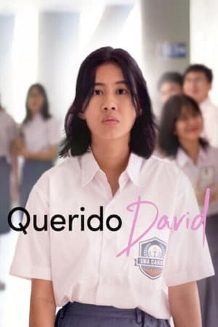 Movie Querido David