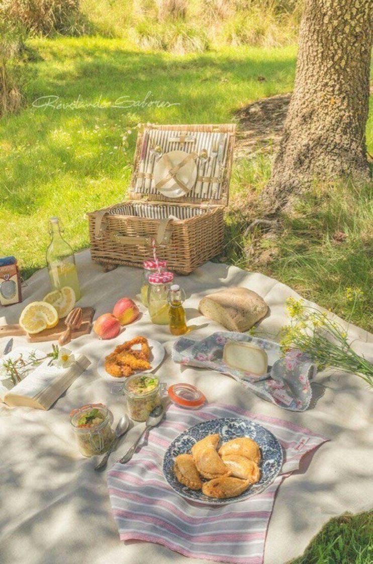 Social Picnic Date