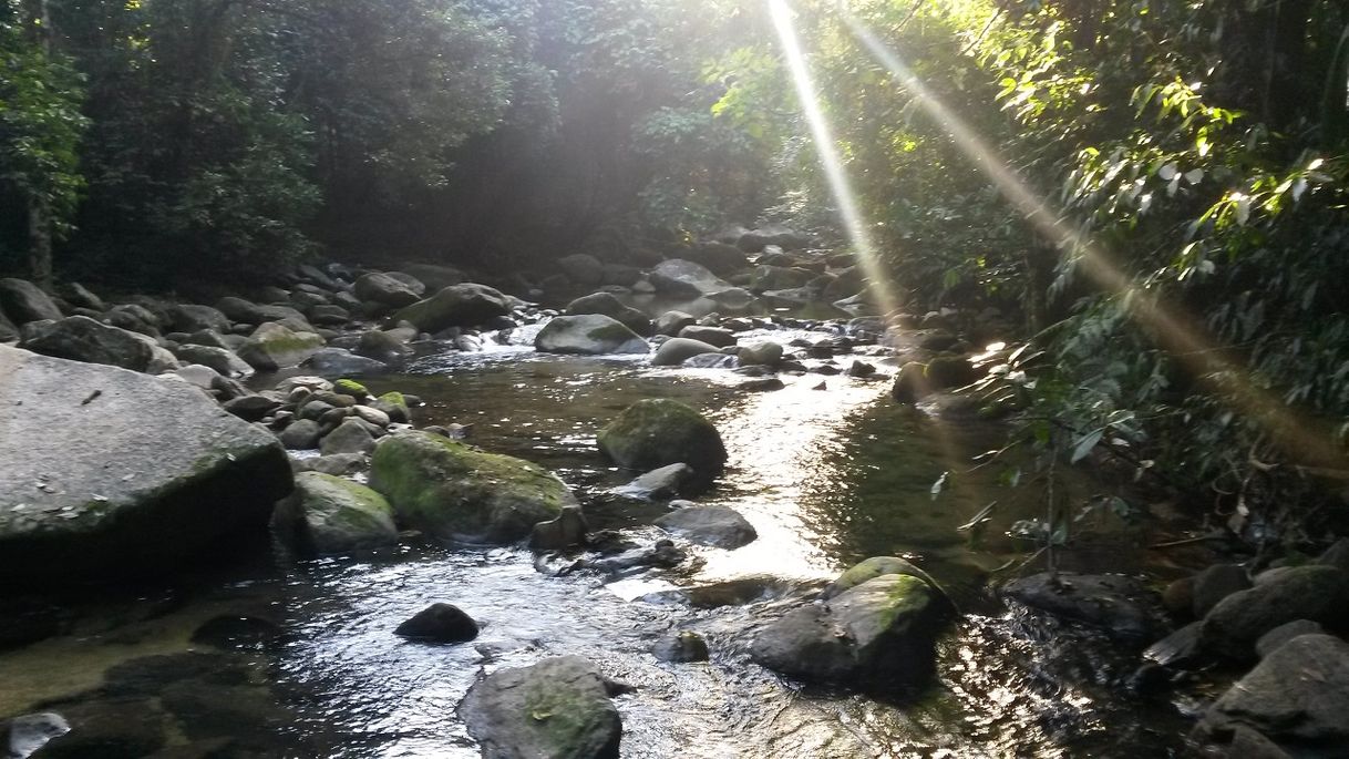 Places Estrada da Cachoeira dos Macacos