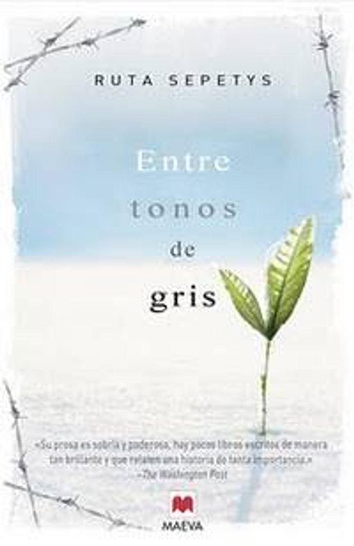 Book Entre tonos de gris 