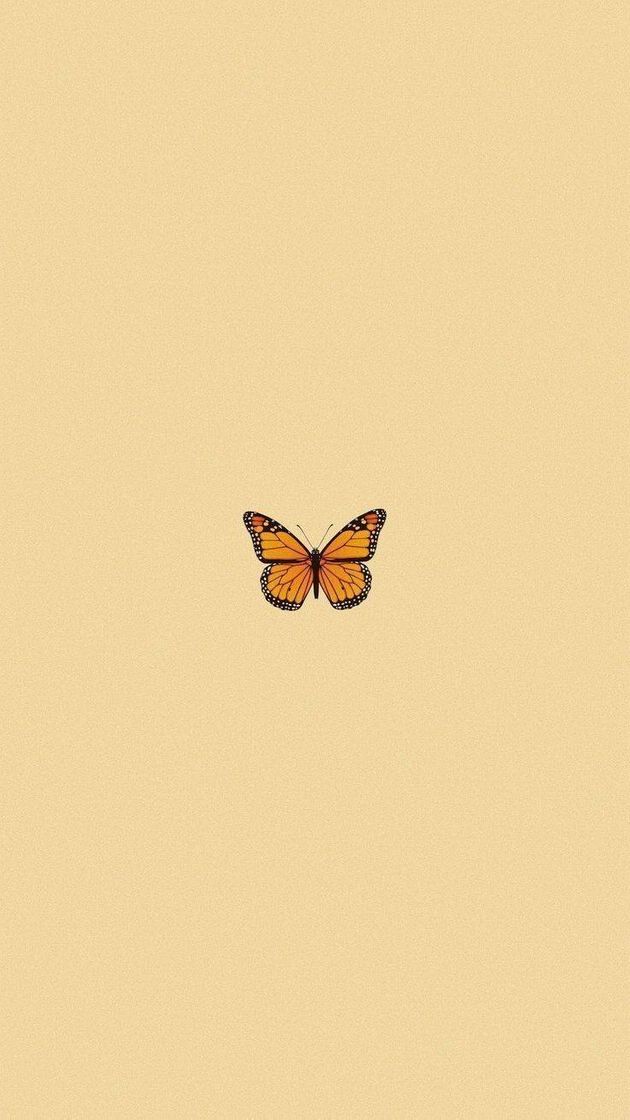 Moda wallpaper 🦋