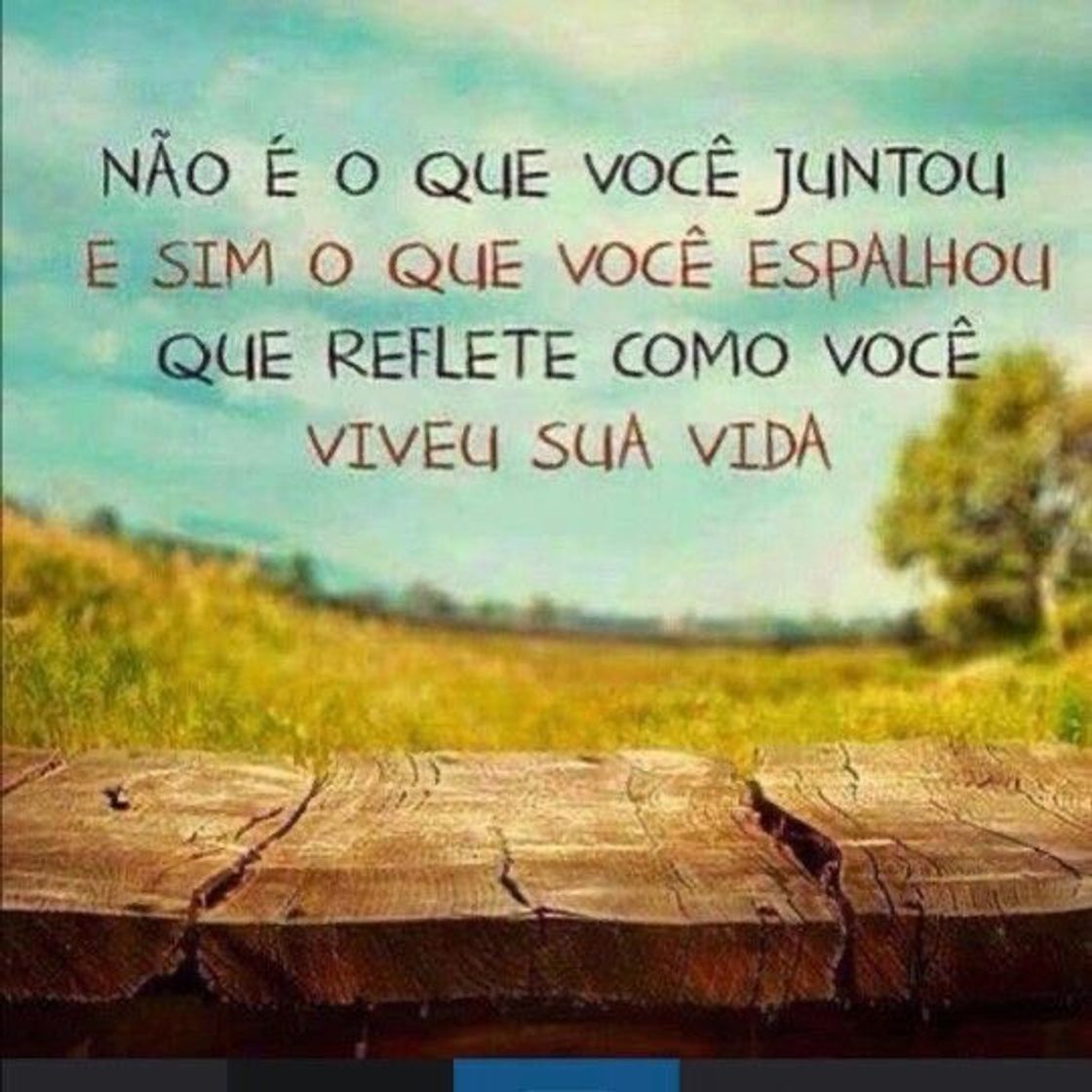 Social Frases
