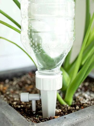 Gotejador de água para plantas