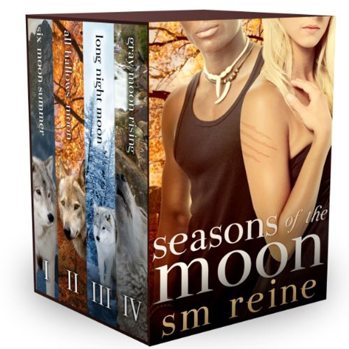 Book Seasons of the Moon Series, Books 1-4: Six Moon Summer, All Hallows'