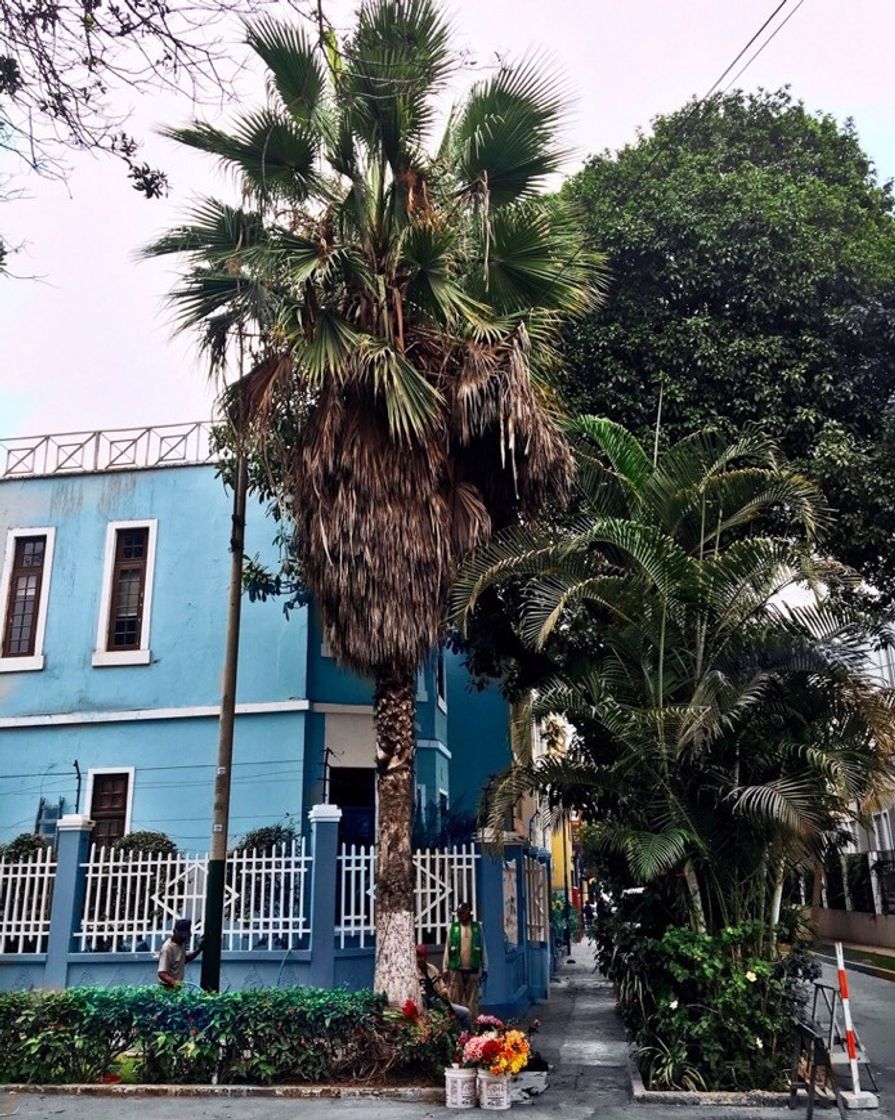 Place Distrito de Barranco