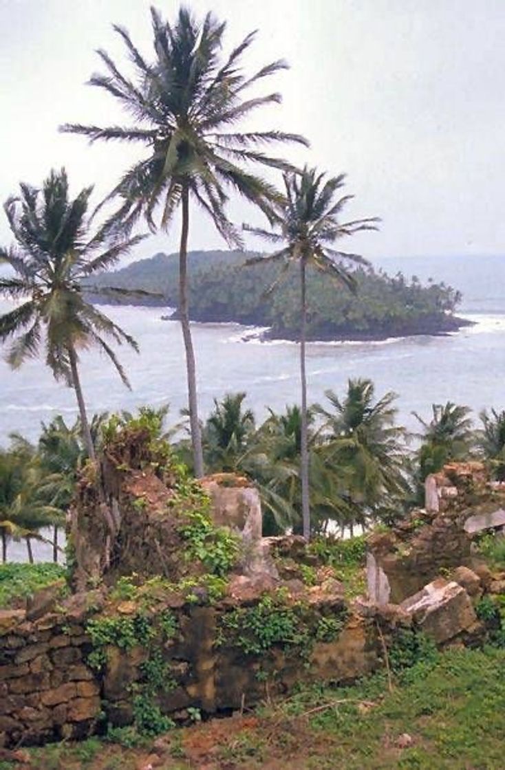 Lugar Guiana Francesa 🇬🇫 